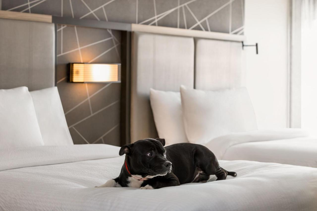Springhill Suites By Marriott Camp Hill Eksteriør bilde